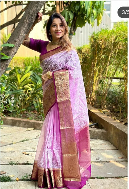 Organza Saree with Lakhnawi embriodery